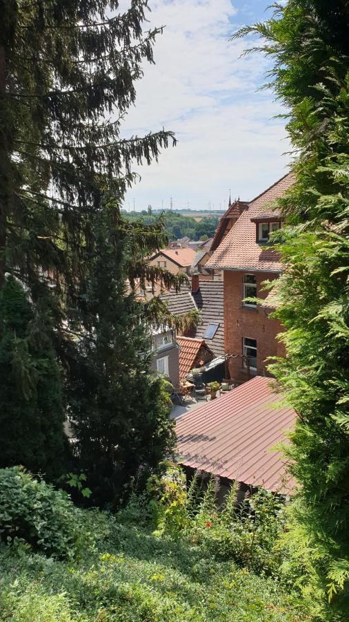 Sonnenschein Familie Hamdorf