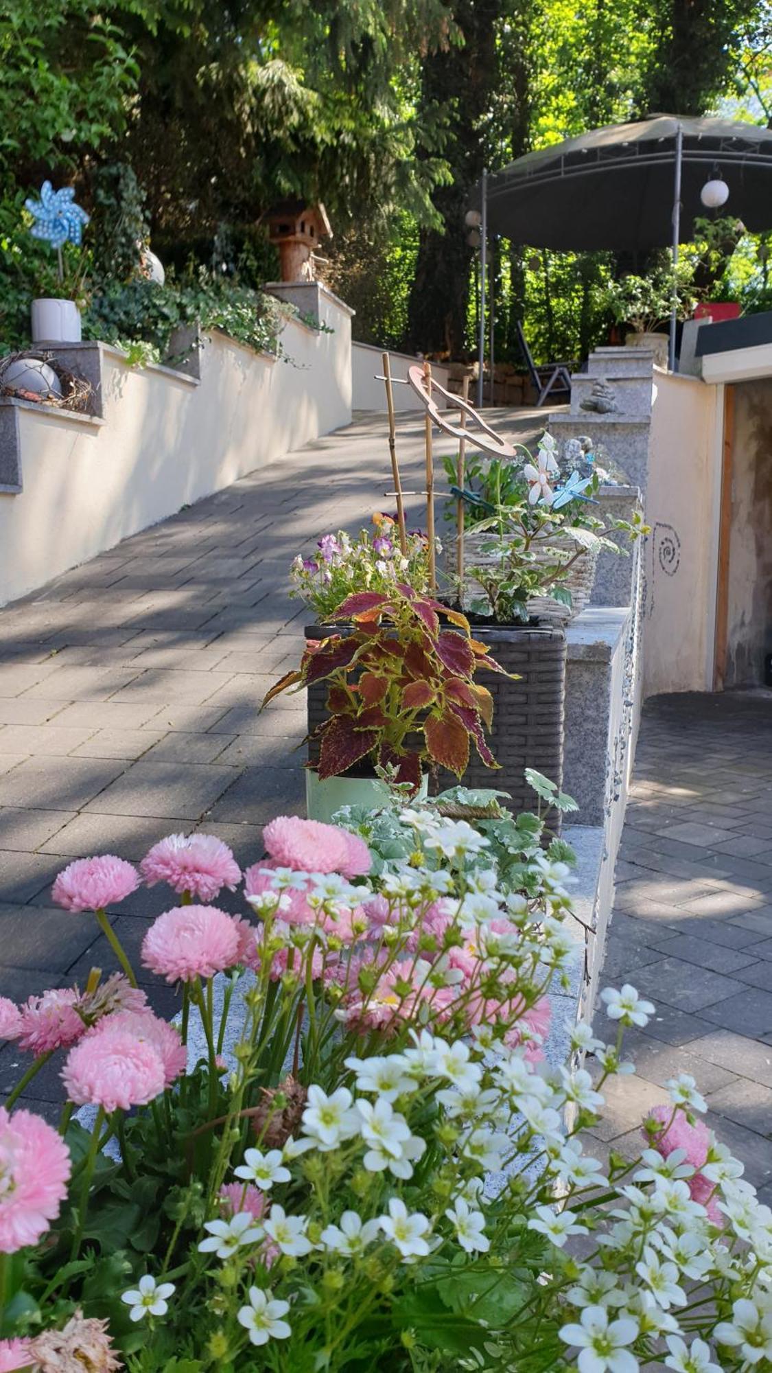 Sonnenschein Familie Hamdorf Apartment