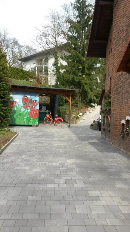 Sonnenschein Familie Hamdorf