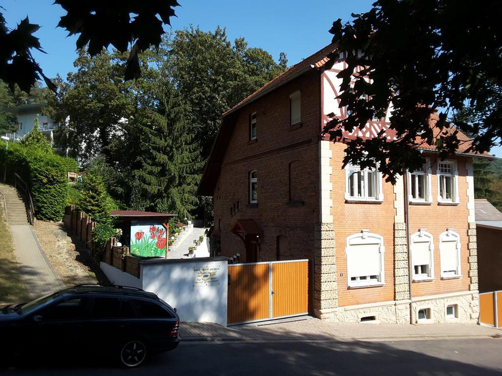 Sonnenschein Familie Hamdorf