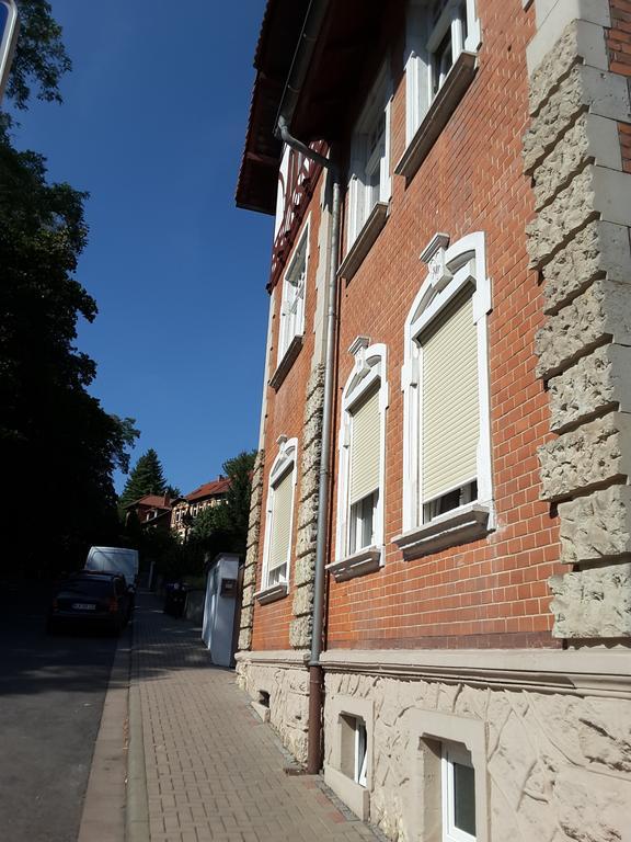 Sonnenschein Familie Hamdorf Bad Sulza