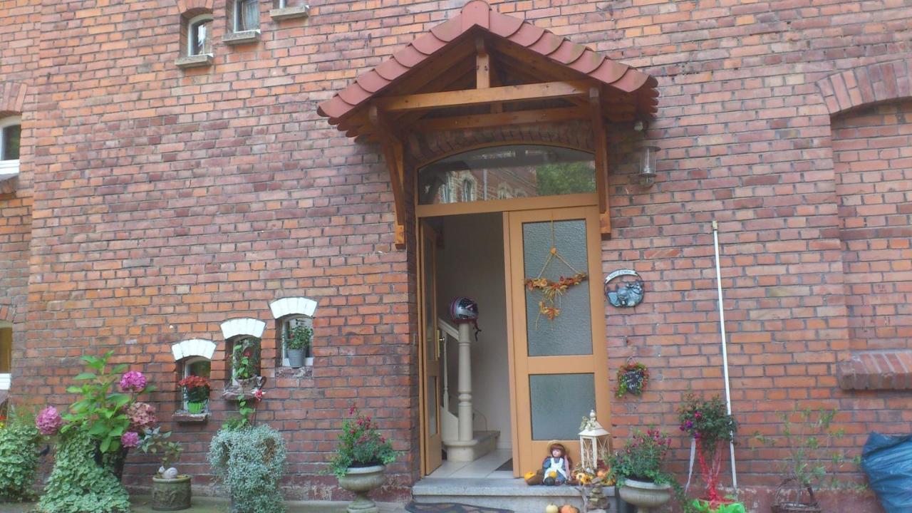 Sonnenschein Familie Hamdorf